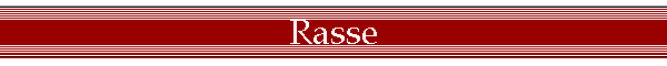 Rasse