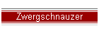Zwergschnauzer
