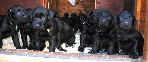 ...Gruppenbild der groen Mannschaft